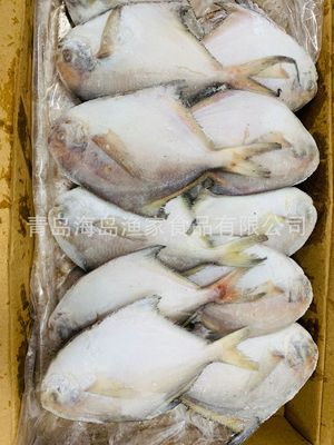 厂家直营 东海白鲳鱼2—4 约20条 #5斤装# 新鲜活冻