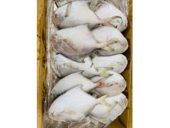 厂家直营 东海白鲳鱼2—4 约20条 #5斤装# 新鲜活冻
