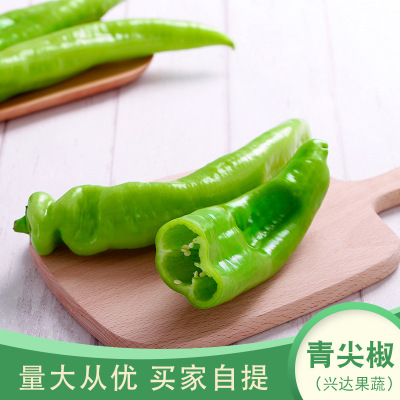 新鲜青尖椒批发便宜卖美味青椒肉丝蔬菜500g量大从优买家自提