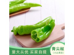 新鲜青尖椒批发便宜卖美味青椒肉丝蔬菜500g量大从优买家自提