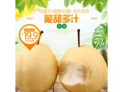 新鲜可口特产酥梨10斤29.9元自家种植现摘脆甜多汁早熟梨果园批发