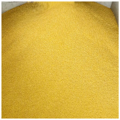 次村牌沁州黄小米 白袋五谷杂粮500g黄小米 食用小黄米真空包装