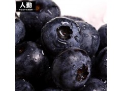 厂销冷冻蓝莓新鲜速冻蓝莓果汁果酱酸奶专用蓝莓1000g代工odm