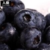 厂销冷冻蓝莓新鲜速冻蓝莓果汁果酱酸奶专用蓝莓1000g代工odm