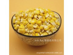 大雅食品供应 食品级冻干玉米粒 500g FD甜玉米