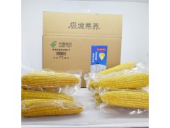 塑封真空包装礼盒8支装玉米 甜玉米农产品 网红早餐新鲜甜糯玉米