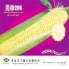 厂家直销 美珍206（500g）超甜水果玉米种子 北京宝丰种子