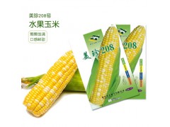 美珍208（100g）超甜水果玉米 非转基因甜玉米种子