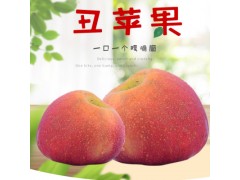 云南昭通冰糖心苹果水果新鲜当季红富士丑苹果脆甜散装称斤现摘