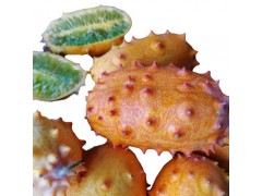 火参果中果装 一件代发非洲刺角瓜火星果 爆炸果 孕妇水果