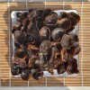 厂家直销 东北秋木耳 500g菌菇干货无根木耳食用农产品秋木耳菌类