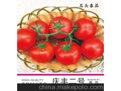供应高档西红柿种子，高抗病毒番茄种子“庆丰二号番茄种子”