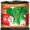 供应子丰公司“华英”第三代青梗菜种子小白菜种子上海青种子油菜种子