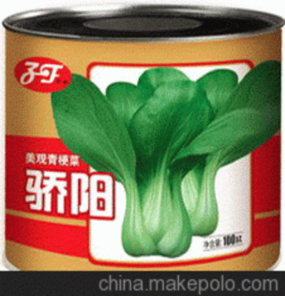 供应子丰公司“骄阳”第三代青梗菜种子小白菜种子上海青种子油菜种子