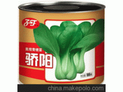 供應子豐公司“驕陽”第三代青梗菜種子小白菜種子上海青種子油菜種子