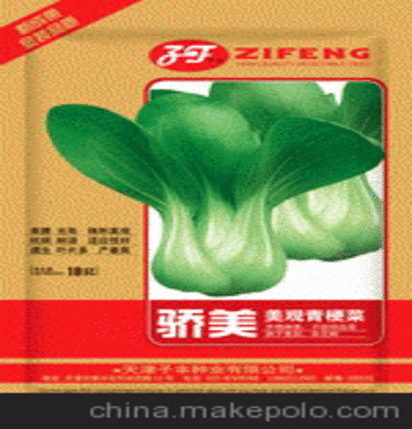 供应子丰公司“骄美”第三代青梗菜种子小白菜种子上海青种子油菜种子
