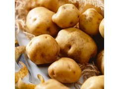 山东蔬菜农家自种植各种蔬菜新鲜黄皮土豆量大优惠批发配送