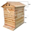 自流蜜蜂箱 自动取蜜蜂箱 出口型蜂箱 煮蜡蜂箱批发