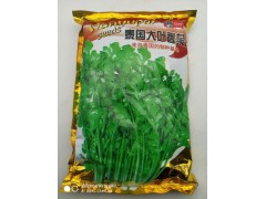 泰国大叶香菜种子 泰国进口 大叶抗热耐寒四季播蔬菜芫荽种子一斤