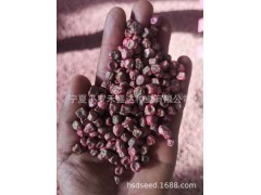 甜豆种子 奇珍76甜脆豌豆种子 无纤维糖度高加工出口品种水果豌豆