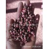 甜豆种子 奇珍76甜脆豌豆种子 无纤维糖度高加工出口品种水果豌豆