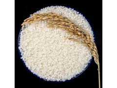 19年东北大米25kg圆粒珍珠米新米黑龙江大米50斤会销礼品厂家直批