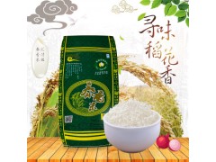 厂家直销 江南稻米 泰香米25kg 袋装大米 家用大米 农家大米批发
