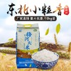 产地货源梅河大米东北小粒香10kg袋装 东北大米小粒米当季新米