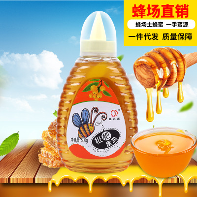 枇杷蜂蜜 春之源500g1斤瓶装农家土蜂蜜超市甜品店畅销款蜂蜜批发
