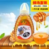 枇杷蜂蜜 春之源500g1斤瓶裝農家土蜂蜜超市甜品店暢銷款蜂蜜批發