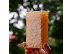 荆条蜂巢蜜250g农家自产百花巢蜜半斤装自然成熟高封盖蜜蜂蜜快
