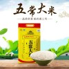五常大米稻香米20斤/袋 东北黑龙江大米 黑土地香米产地直发