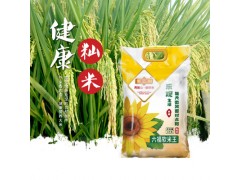 大米直批聚丰园六福软米王5公斤10斤油粘米新米籼米大米真空包装