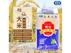 產地直銷稼仙大米金絲米20kg家庭用米粒飽滿光亮南方長粒米農家米