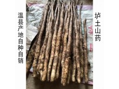 河南焦作温县垆土地铁棍山药自产直销原产地发货一件一斤
