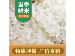 响宴东北大米珍珠米香米5kg黑龙江农家新米10斤批发促销一袋可发