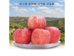 紅富士蘋果10斤丑蘋果裂紋果非花牛蘋果洛川蘋果鹽源阿克蘇蘋果