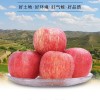 红富士苹果10斤丑苹果裂纹果非花牛苹果洛川苹果盐源阿克苏苹果