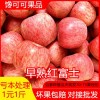 山西早熟红富士苹果10斤装新鲜水果冰糖心苹果批发红富士
