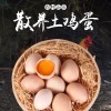 土鸡蛋 散养农家鸡蛋批发草鸡蛋鲜鸡蛋直销新鲜毛鸡蛋场 一件代发