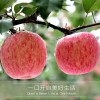 陕西洛川红富士苹果新鲜当季孕妇水果产地直供条纹果整箱批发