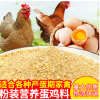 4%蛋鸡产蛋期复合预混合饲料厂家微量元素添加剂多维鸡饲料批发