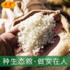 广宴黑龙江东北珍珠米5KG农家小町米圆粒新米10斤装一件代发