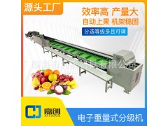 水果 牛油果分级机 重量选果机 筛选机 自动上果 果蔬加工设备