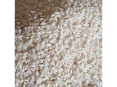 浙江大米梁氏早籼米早稻米无公害粉干凉皮米线肠粉大米批发50kg