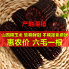 山西忻州甜糯玉米220g糯玉米棒 鲜食黑糯玉米 真空甜糯黑玉米