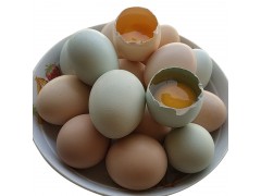 【九平农禽】湖北林区散养土鸡蛋40枚