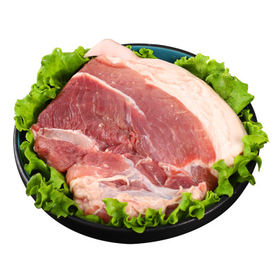 【源广硕】生鲜猪肉富有机硒无抗生素冷鲜肉新鲜猪前膀肉500g