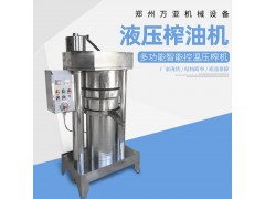 厂家供应小型液压茶籽压榨机 立式花生菜籽榨油机 液压芝麻香油机