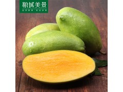 【【清14】越南玉芒果1斤/0.5斤 应季青芒果芒果水果香甜青芒
